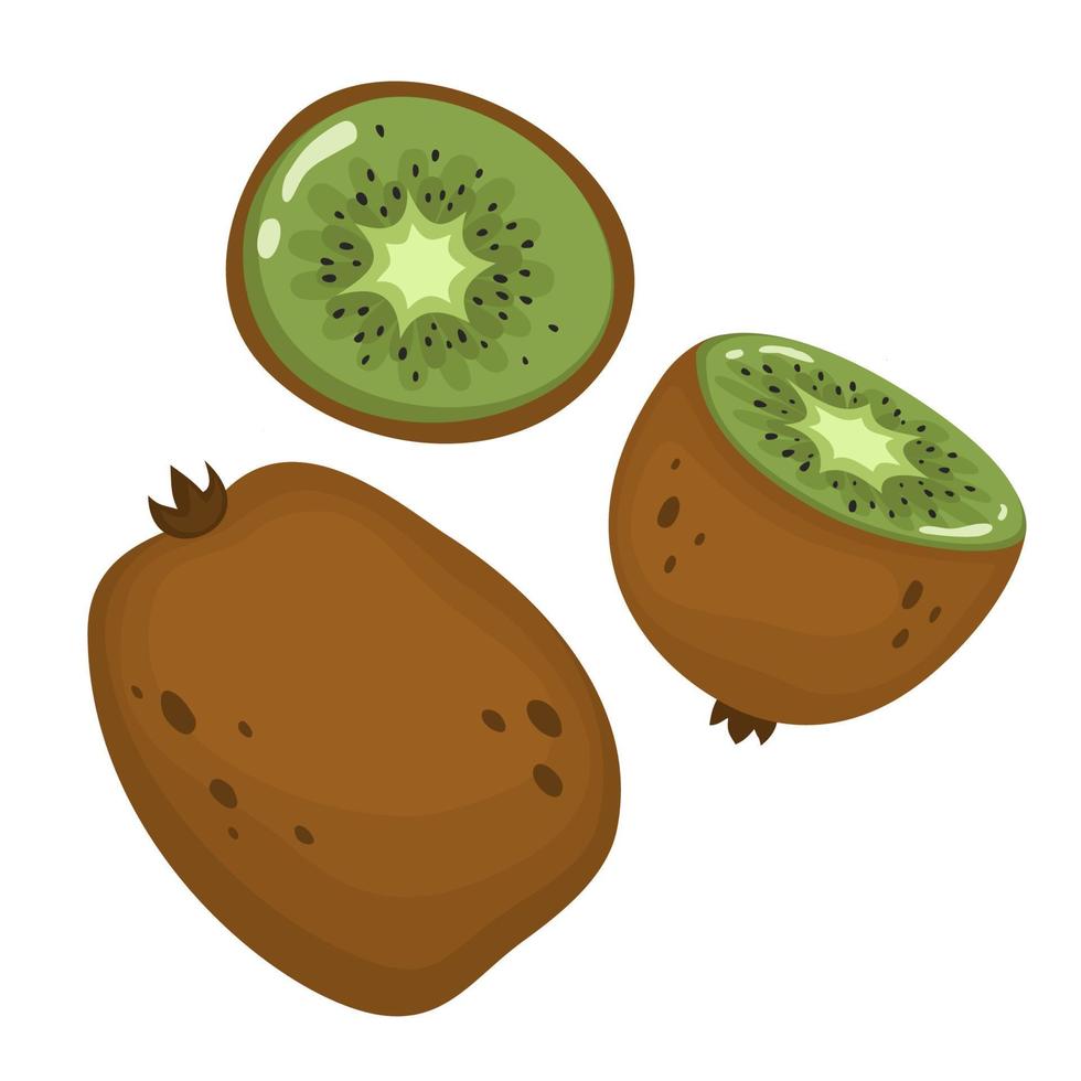 sappige kiwi's voor een gezonde levensstijl. kiwi, heel fruit en de helft. vectorillustratie in cartoonstijl op een geïsoleerde laag voor elk ontwerp vector