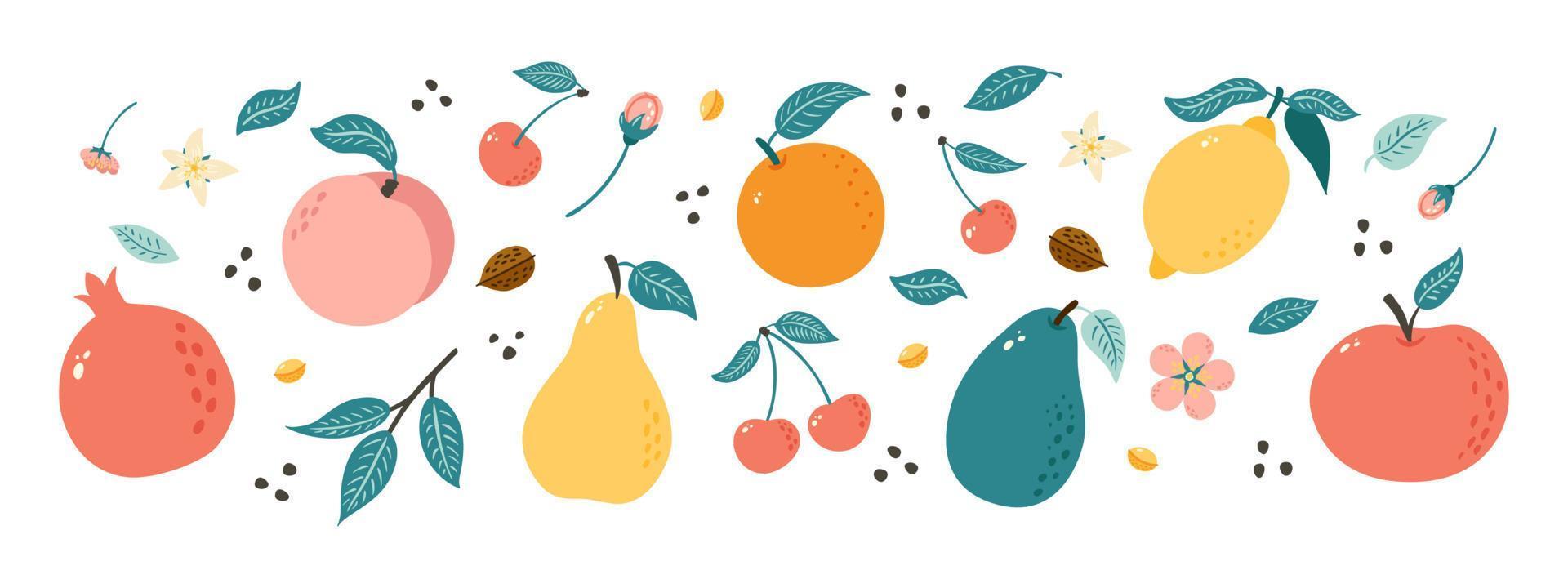 handgetekende vruchten. verzameling fruitillustraties in doodle-stijl voor poster, banner, achtergrond, marktetiket, logo, sticker, briefkaart, menu, ontwerp en decoratie van voedselpakketten vector