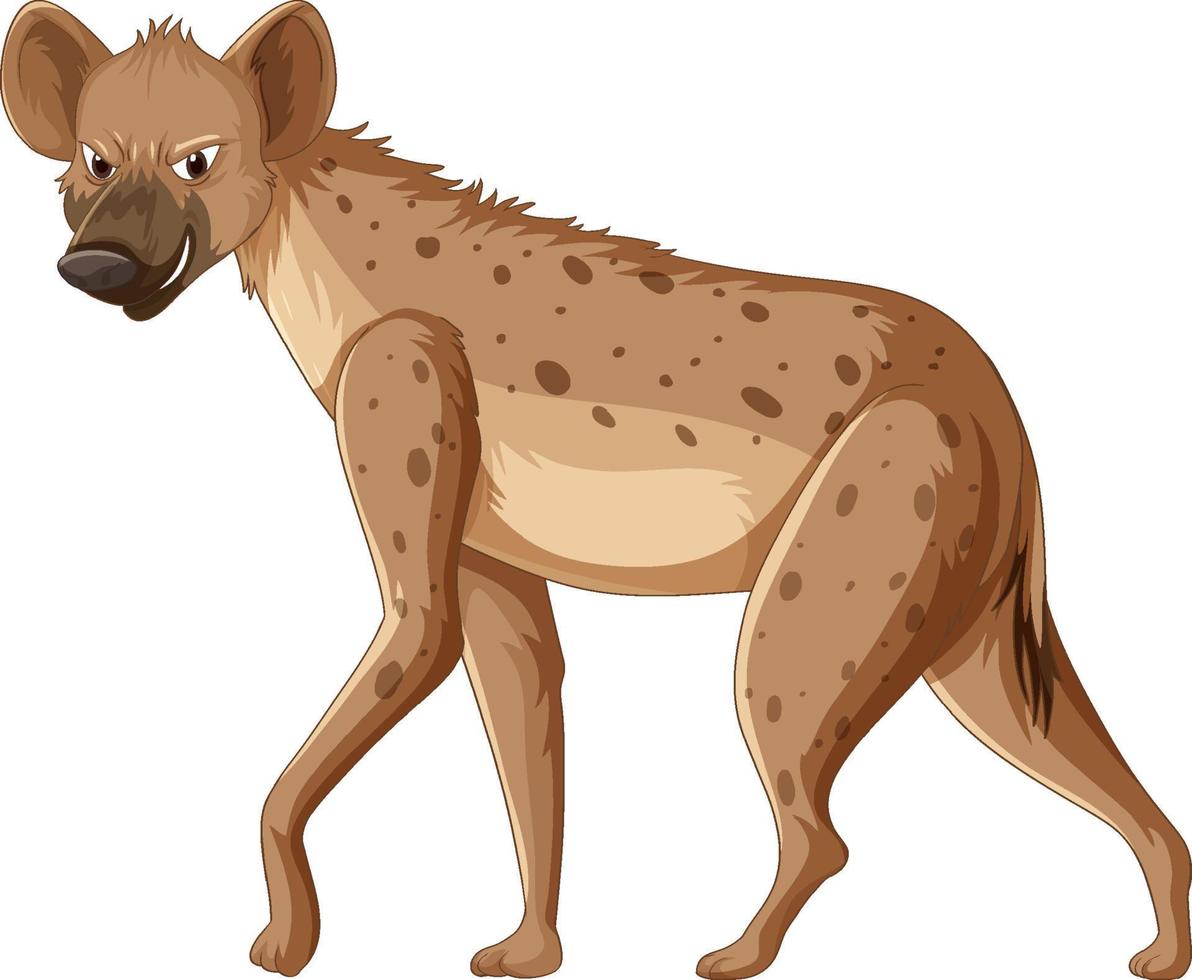 hyena geïsoleerd op witte achtergrond vector