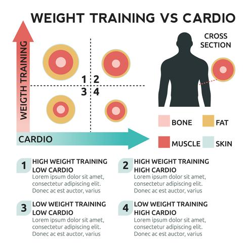 Gewichtstraining vs cardio vector