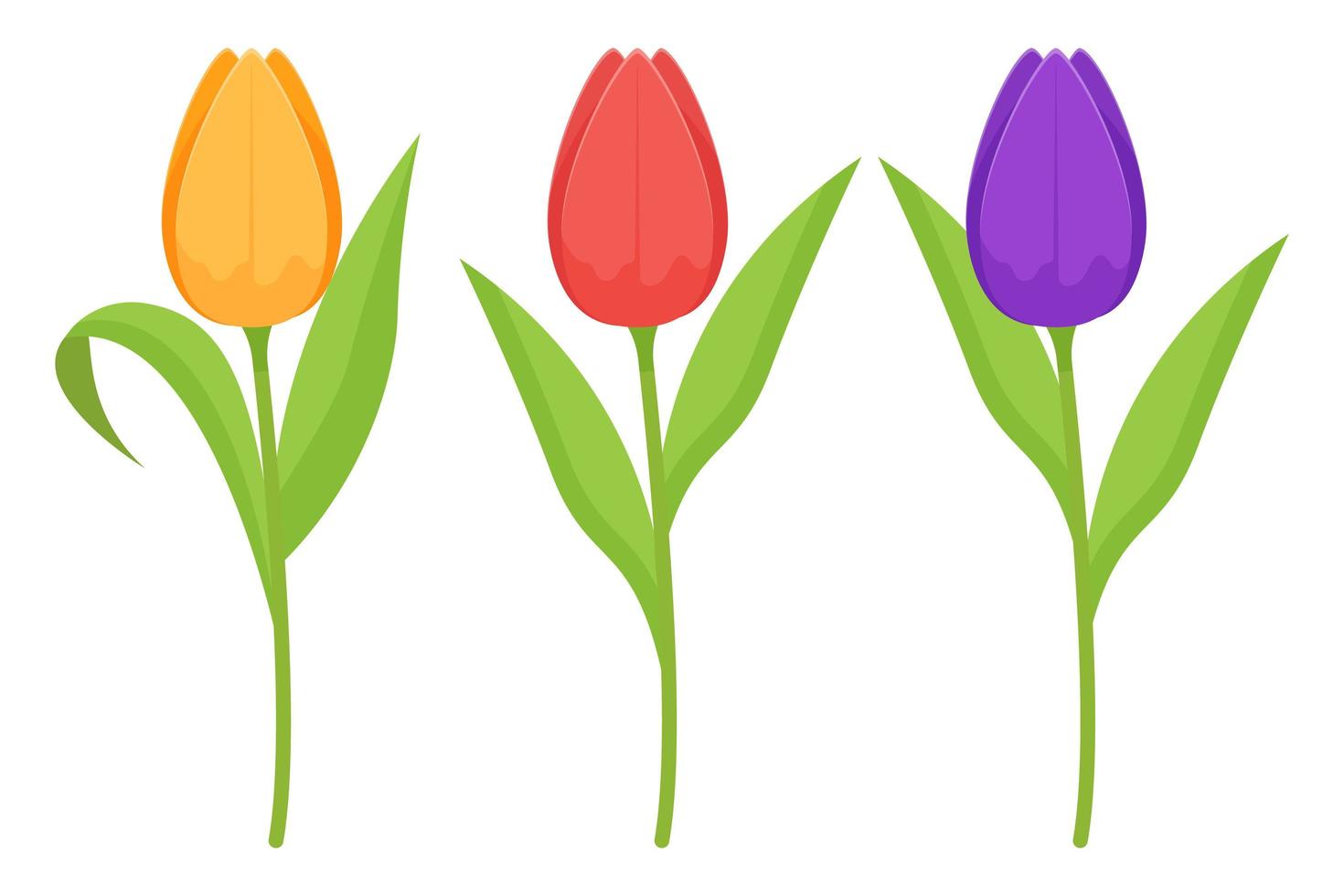 takken van tulpenbloemen en groene bladeren. platte vectorillustratie vector