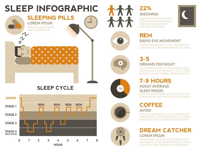 Slaap Infographic vector