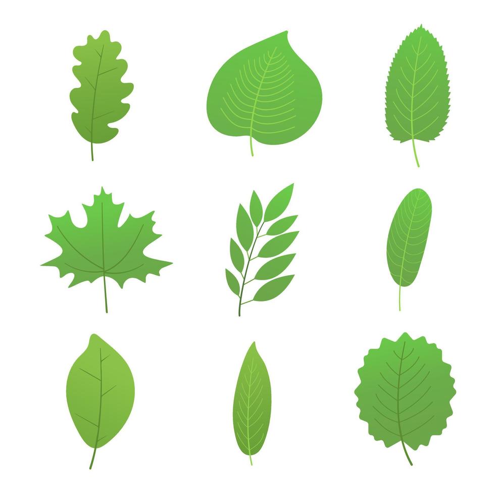 9 set van groene lente of zomer bladeren collectie vlakke stijl ontwerp kleurovergang versie vectorillustratie geïsoleerd op een witte achtergrond. vector