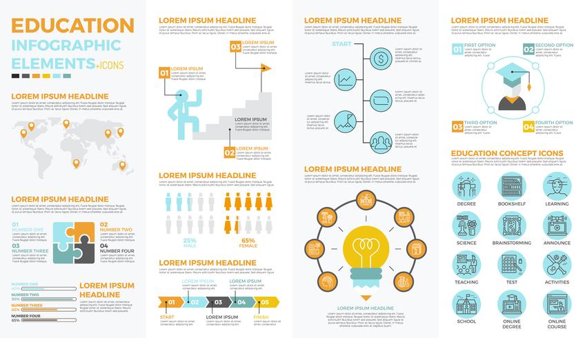 Schoolonderwijs infographic elementen vector