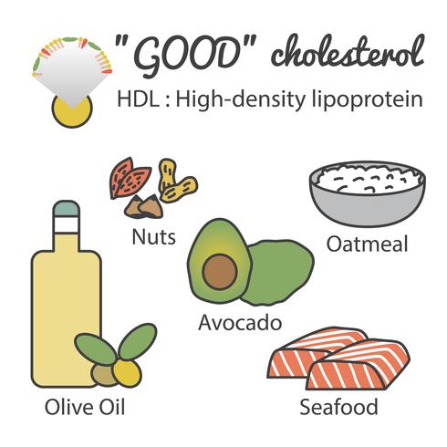 HDL in voedsel vector