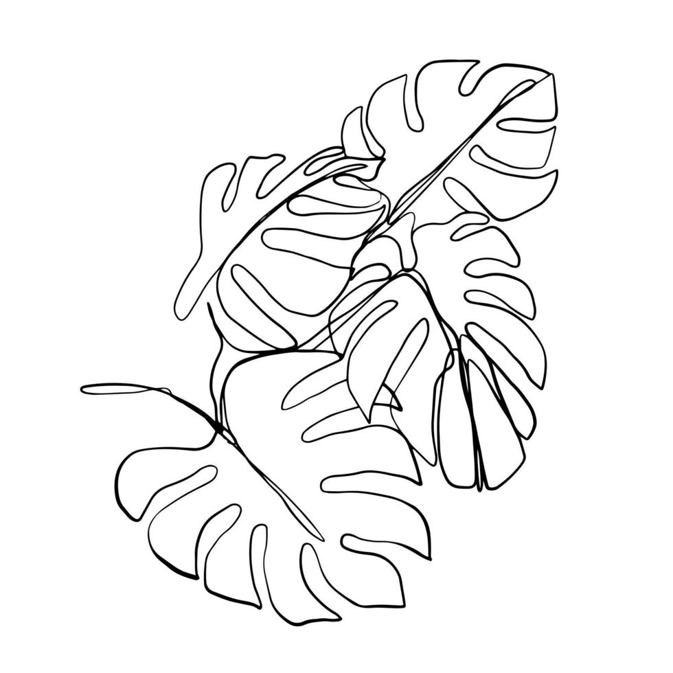 tropische palm monstera bladeren. mooie hand getekende exotische planten op witte achtergrond. vector ontwerp