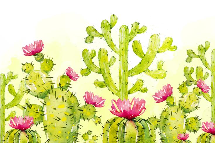 Natuurlijke cactus als achtergrond vector