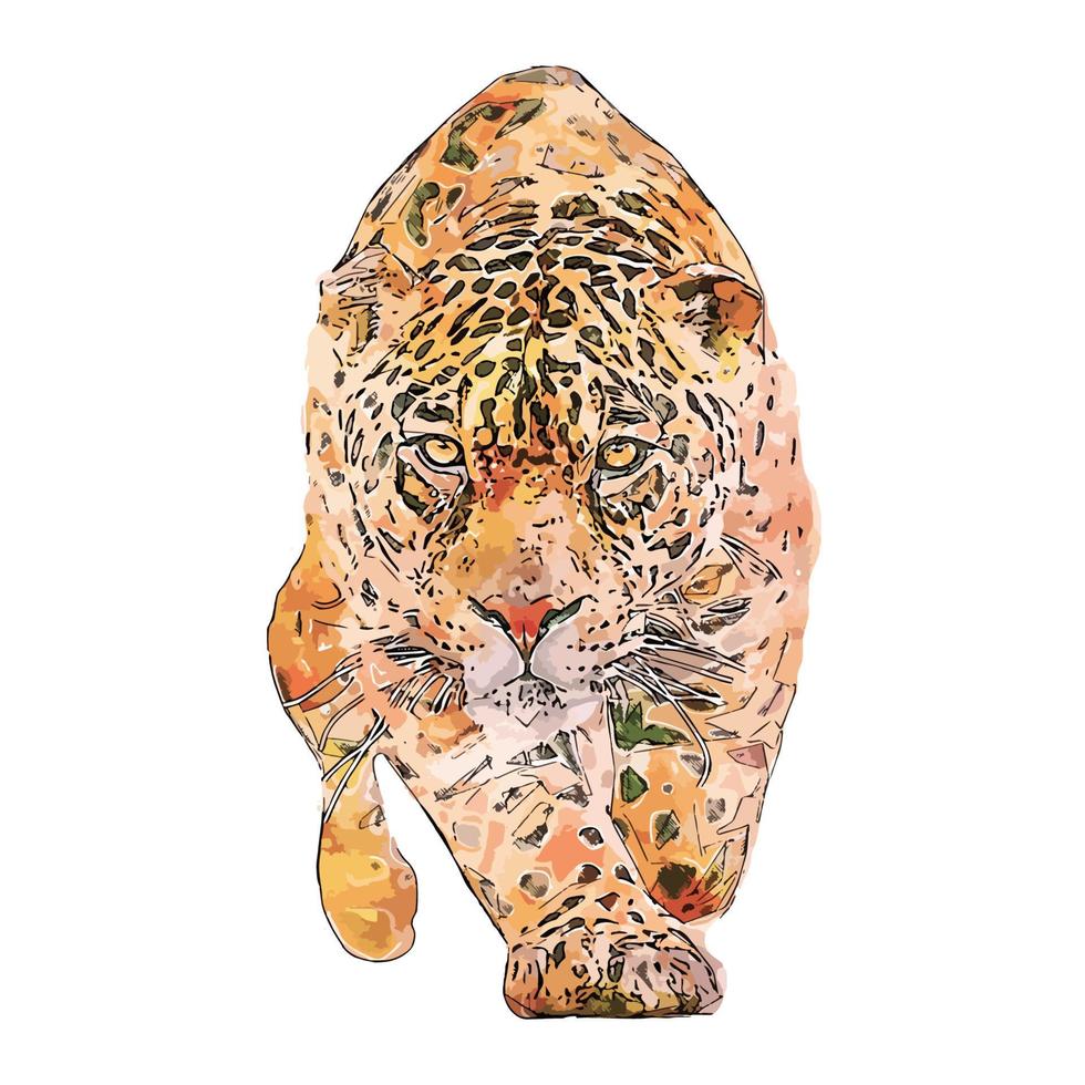 jaguar dier aquarel schets hand getekende illustratie geïsoleerde witte achtergrond vector