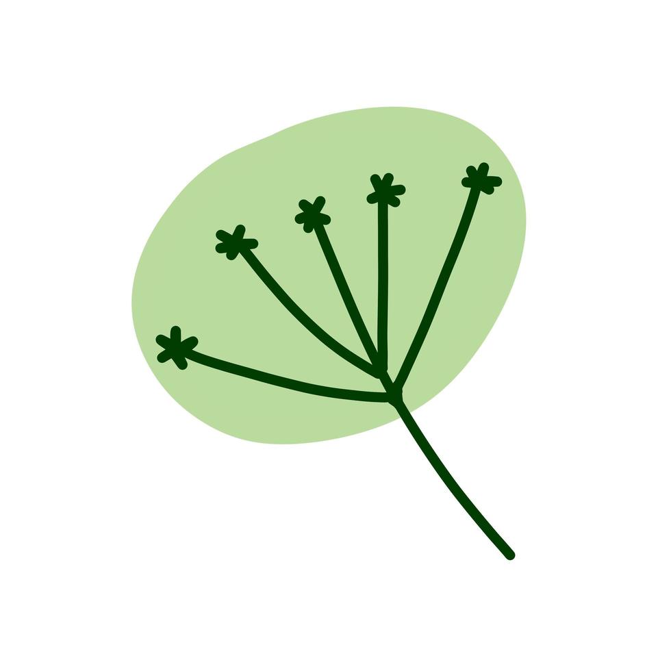 dille in doodle stijl. weide groene plant en kruid. eenvoudig natuurgras vector