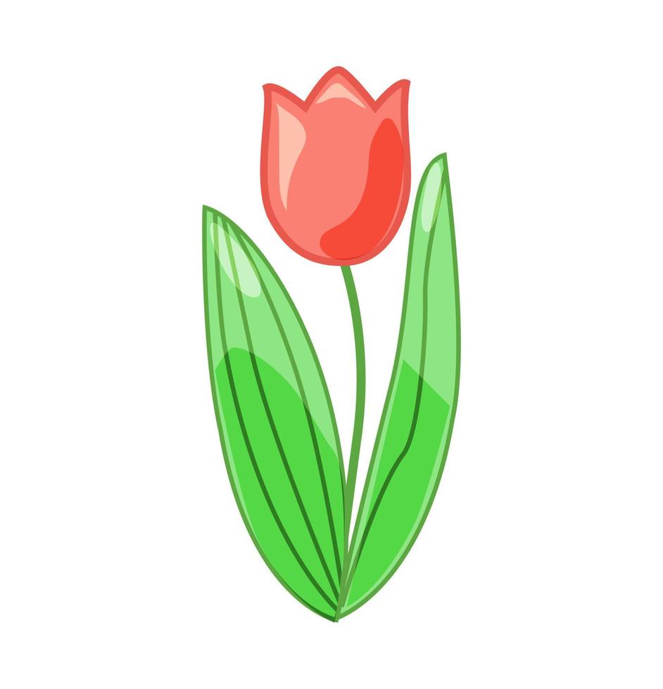 vectorillustratie van een eenvoudige en schattige tulp op een witte geïsoleerde achtergrond. vector