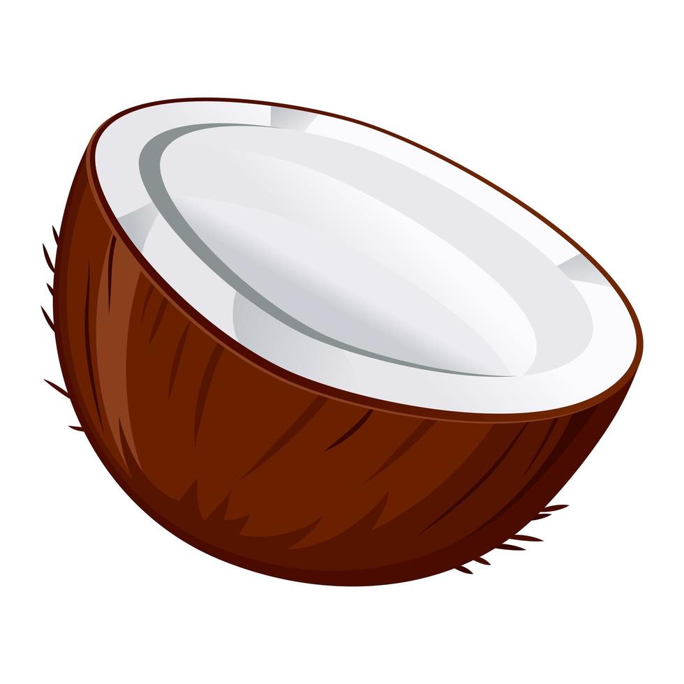 realistische verse kokosnoot en kokosmelk witte achtergrond - vector