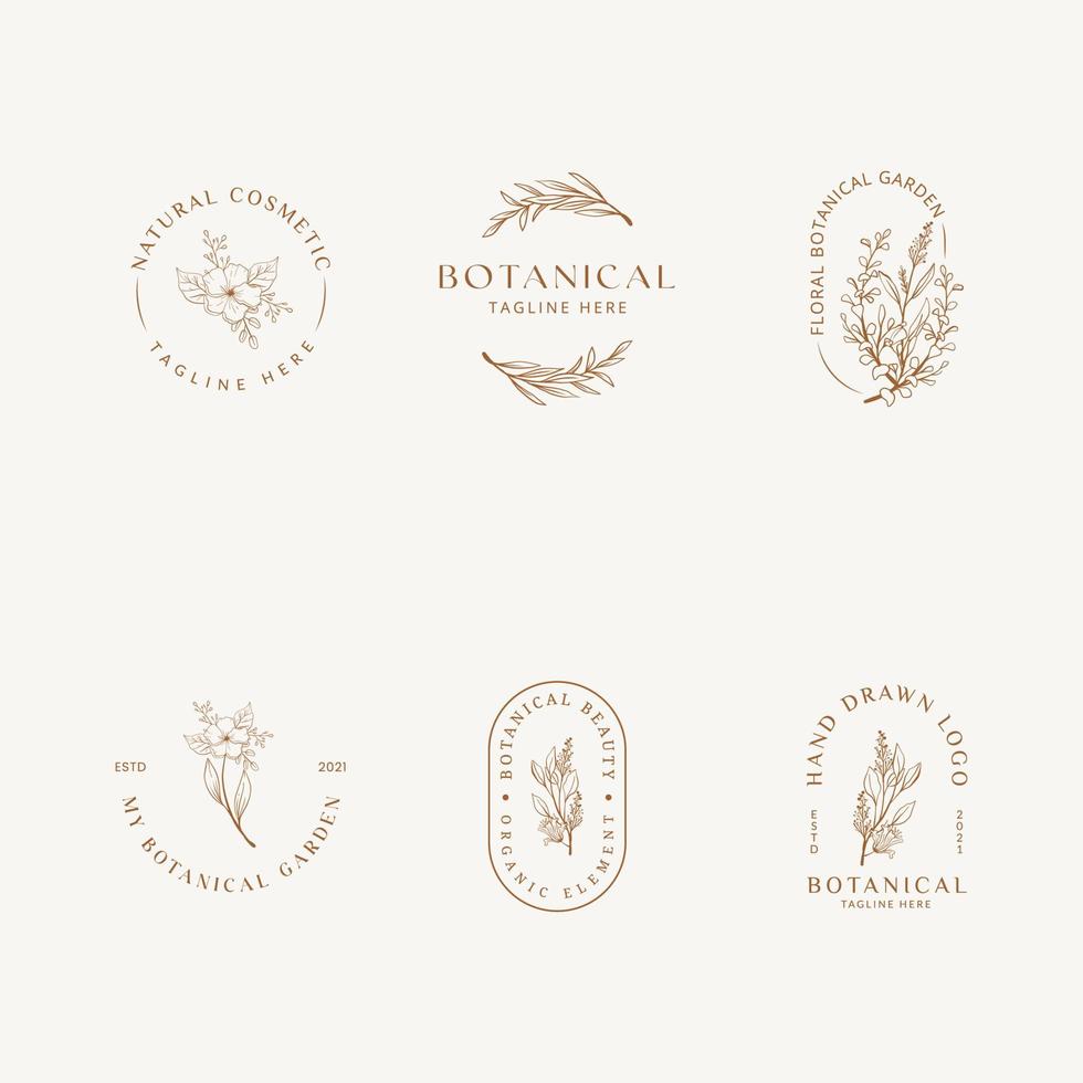 botanische bloemen element hand getekende logo met wilde bloemen en bladeren. logo voor spa en schoonheidssalon, boetiek, biologische winkel, bruiloft, floral designer, interieur, fotografie, cosmetica. vector