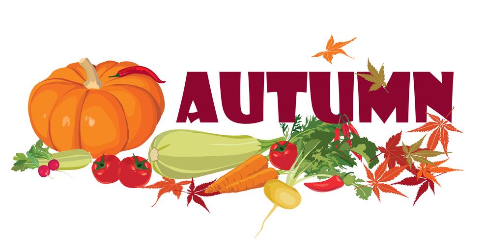 Plantaardig label. Gezond eten. Herfst oogst banner. vector