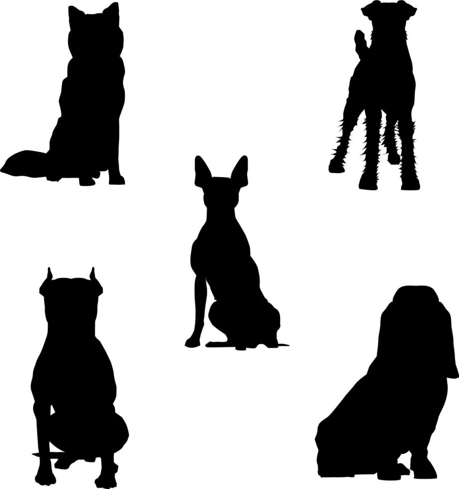 verschillende silhouetten 5 soorten honden vector