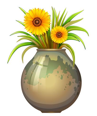 Een pot met gele bloemen vector