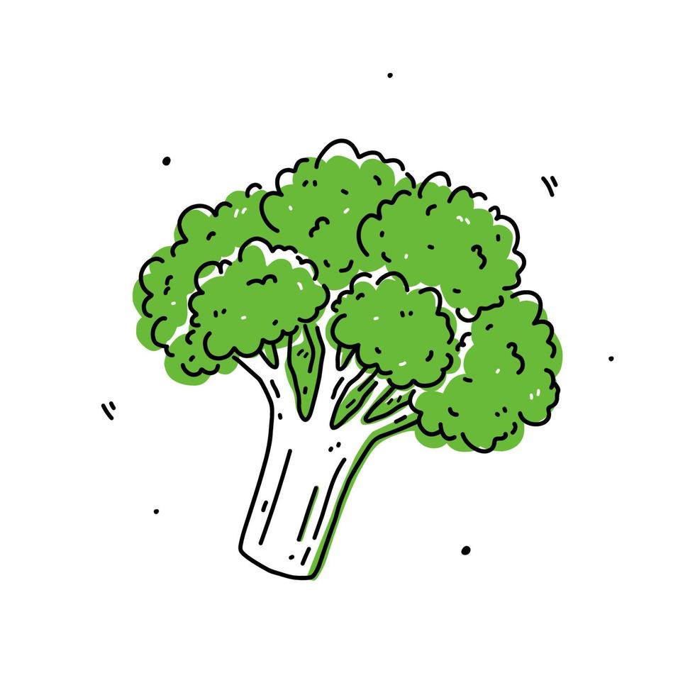 groene broccoli kool geïsoleerd op een witte achtergrond. biologische gezonde voeding. vector handgetekende illustratie in doodle stijl. perfect voor kaarten, logo, decoraties, recepten, verschillende ontwerpen.