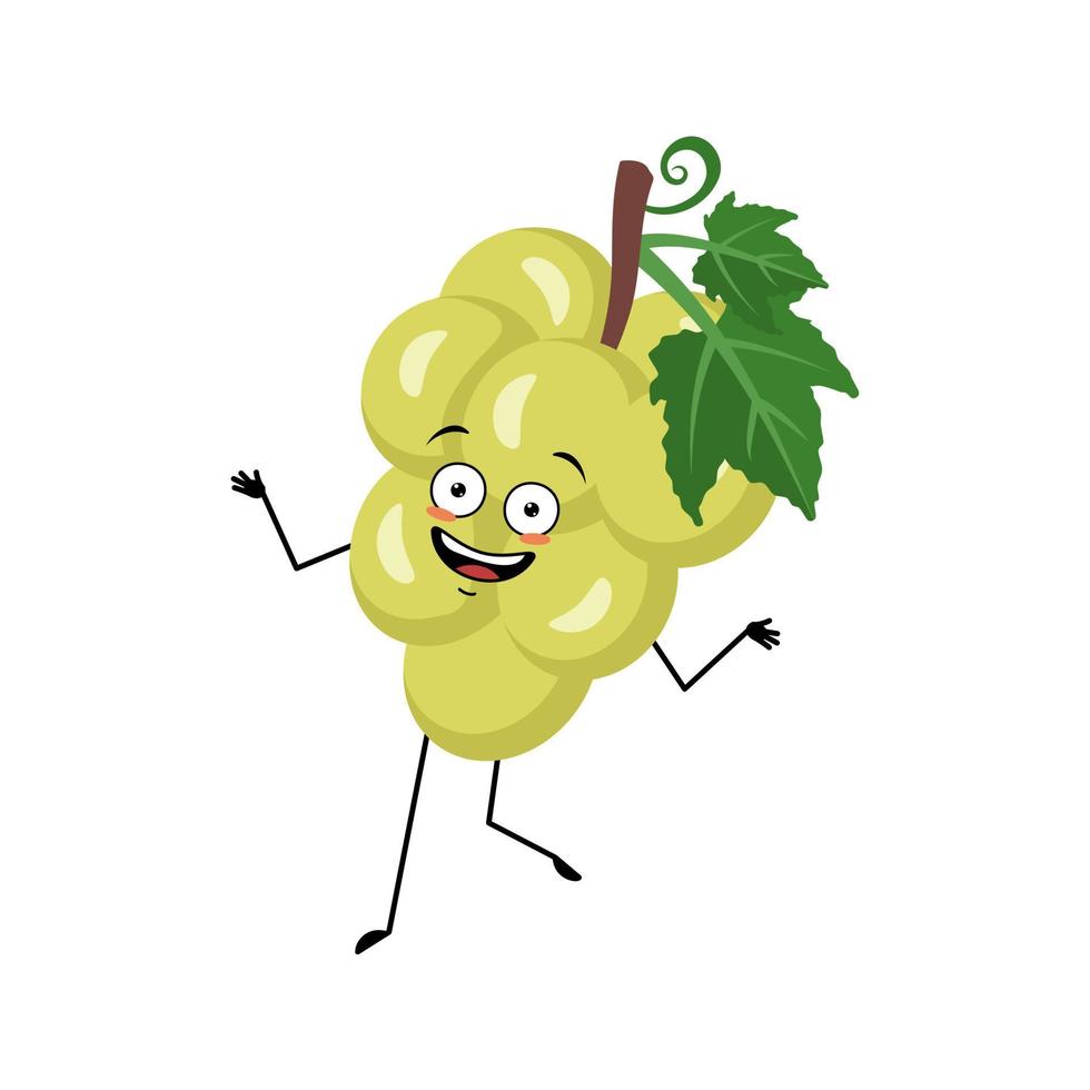 druivenkarakter met gelukkige emotie, vrolijk gezicht, glimlachogen, armen en benen. persoon met expressie, bes of fruit emoticon. platte vectorillustratie vector