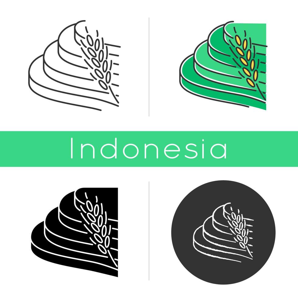 rijstterrassen veld icoon. landbouw producten. Indonesische landbouwgrond. aard van tropisch eiland. aziatische terraslandbouw. lineaire, zwarte, krijt- en kleurstijlen. geïsoleerde vectorillustraties vector