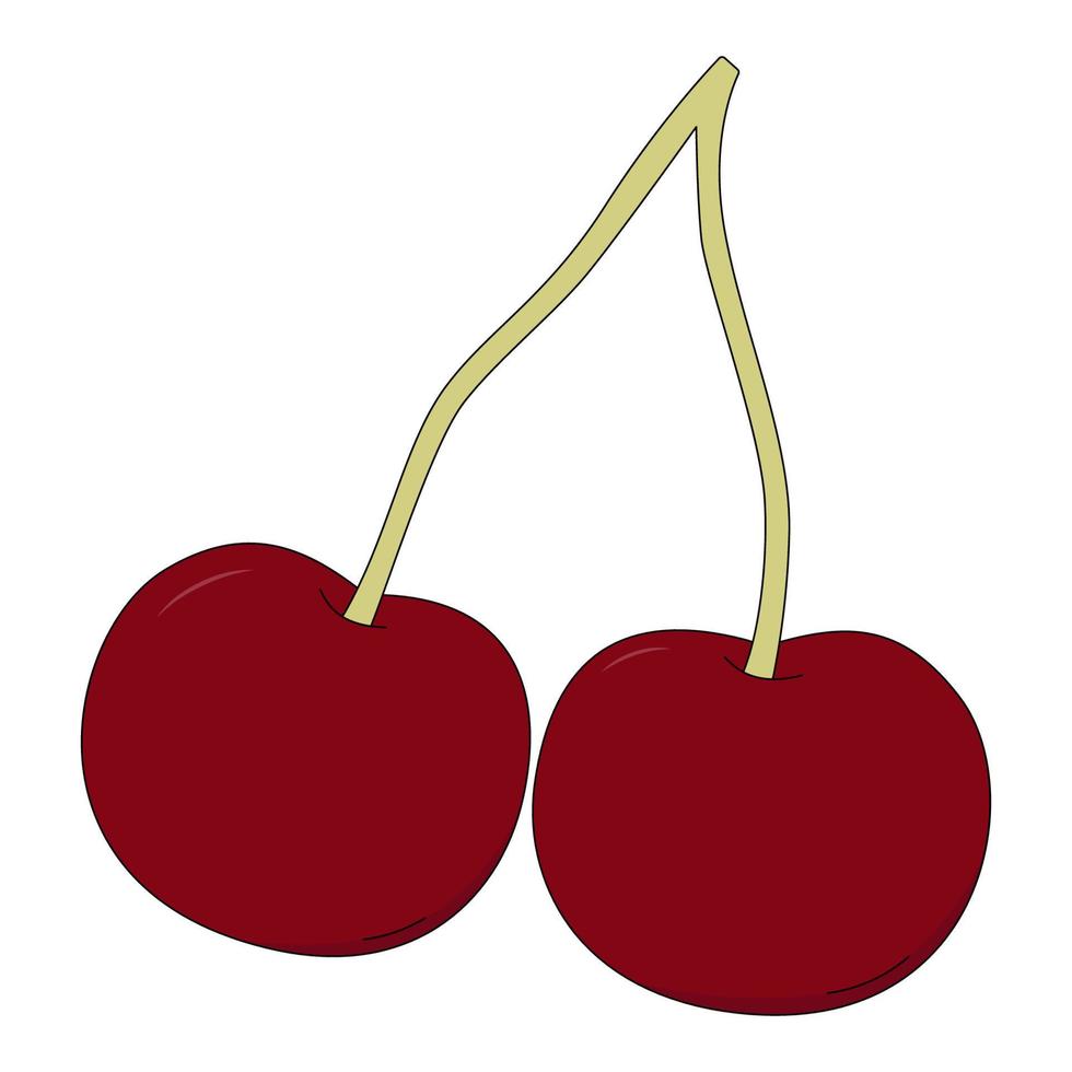 vectorillustratie van kers. fruit in cartoon-stijl op een witte achtergrond vector