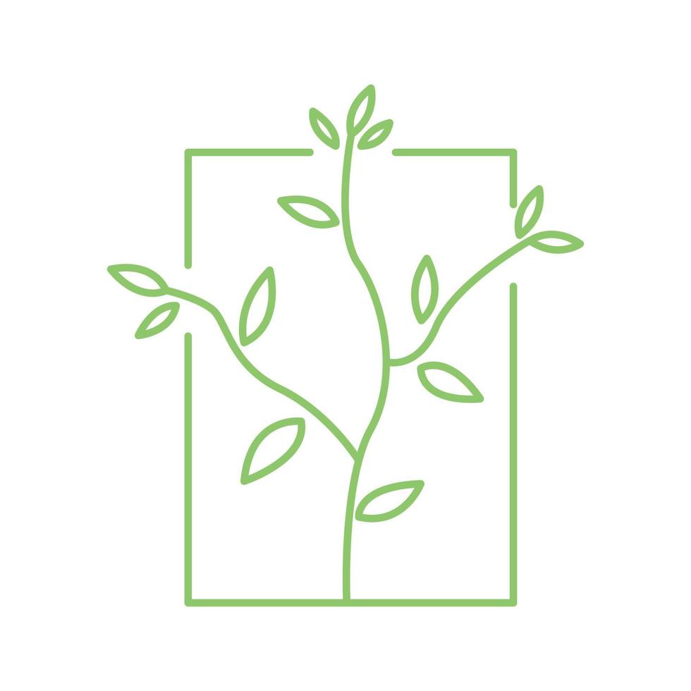 plant boom blad lijn met frame eenvoudig groen logo symbool pictogram vector grafisch ontwerp illustratie