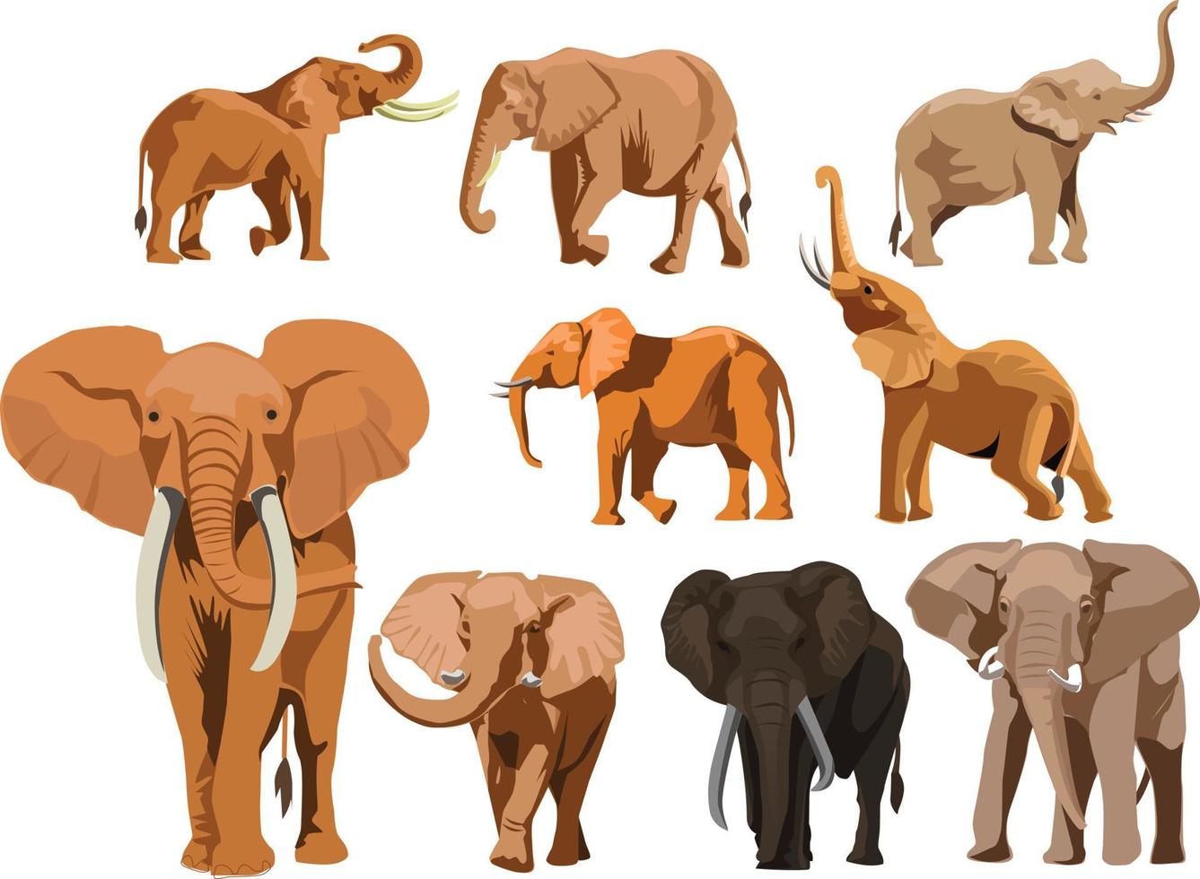set van olifant vectorillustratie vector