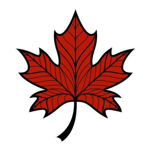 Herfst Maple Leaf vector logo