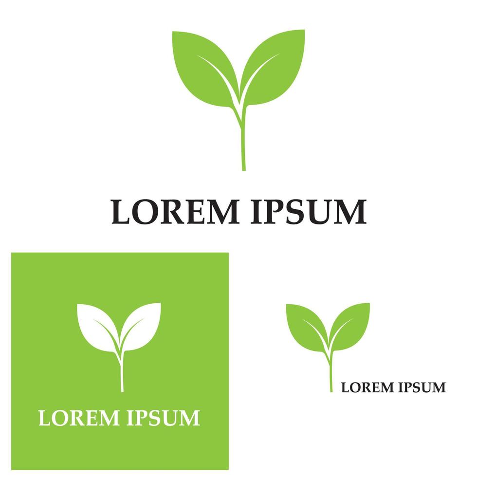 logo's van groene boom blad ecologie natuur element vector