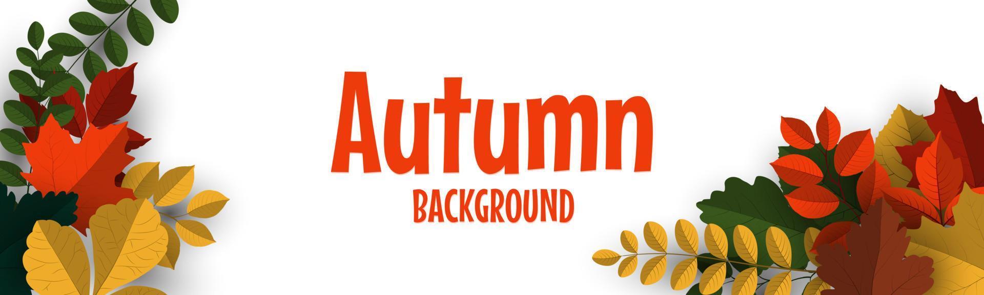 herfst banner achtergrond met herfstbladeren vector