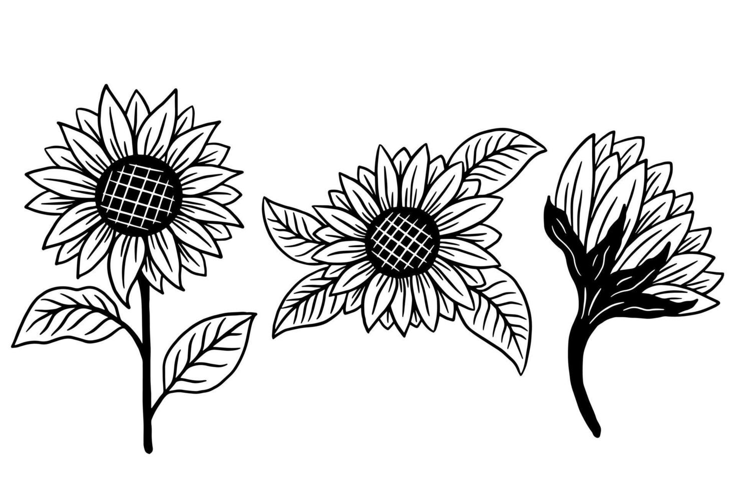 set van zon bloem geïsoleerde decoratieve mooie hand getekende illustratie vector