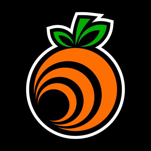 Oranje fruitillustratie vector