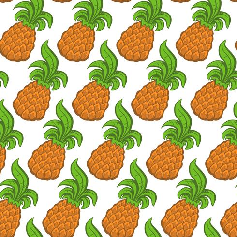 Ananas fruit vector