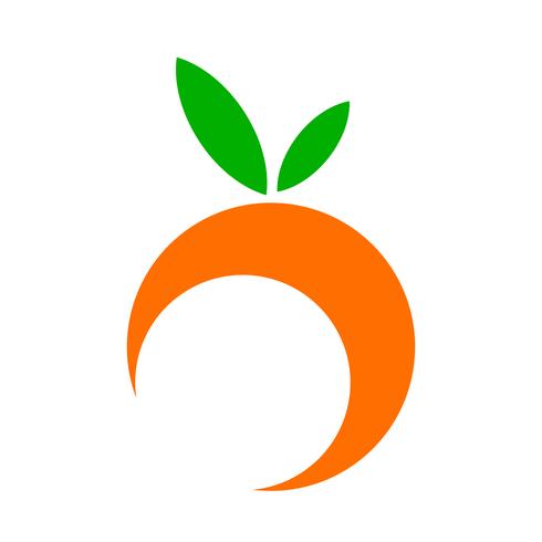 Oranje fruitillustratie vector