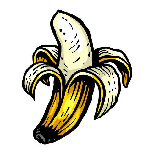 Banaan vector