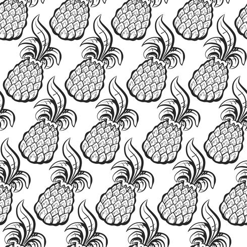 Ananas fruit vector