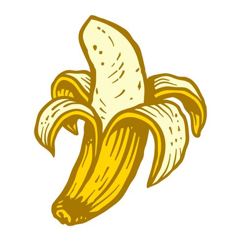 Banaan vector