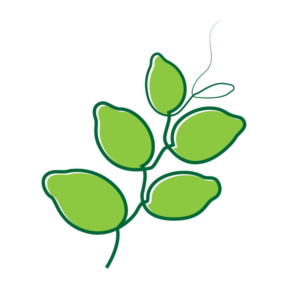blad traditionele geneeskunde logo vector symbool pictogram ontwerp grafische afbeelding