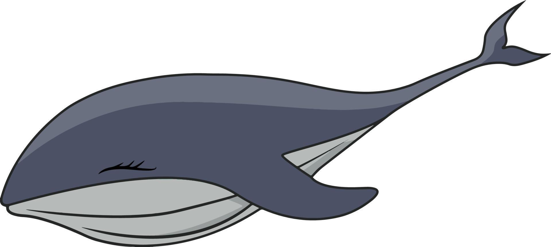 schattige handgetekende gekleurde gigantische walvis vector