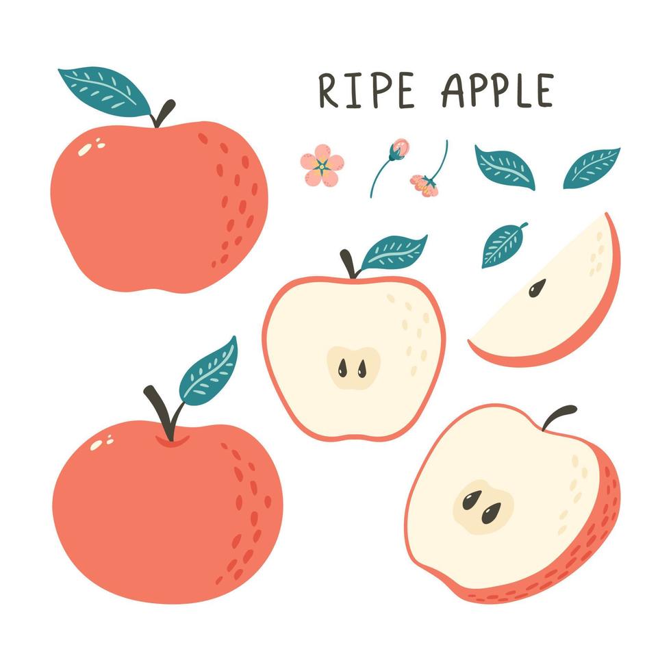 doodle appel. met de hand getekend fruit met bloemendecoratie-elementen voor logo, achtergrond, print, sticker, menu, marktetiket, ontwerp van voedselpakket vector