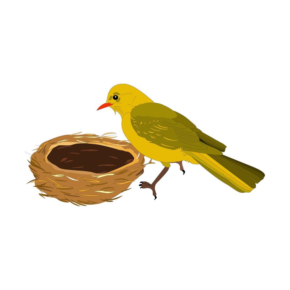 vogel in een nest vector
