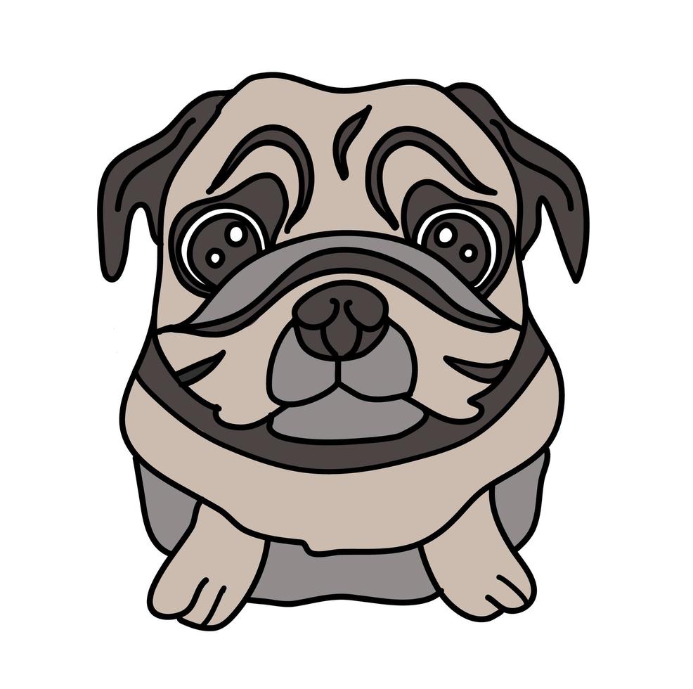 handgetekende pug geïsoleerd op een witte achtergrond. hond vector illustratie