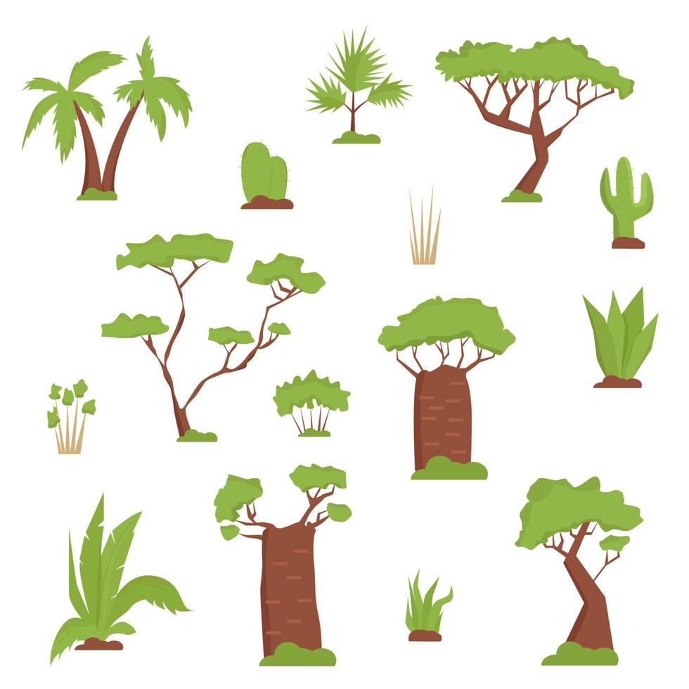 set van Afrikaanse bomen, kruiden, bladeren. vlakke stijl. palmboom, baobab, cactussen, tropische bladeren en planten vector
