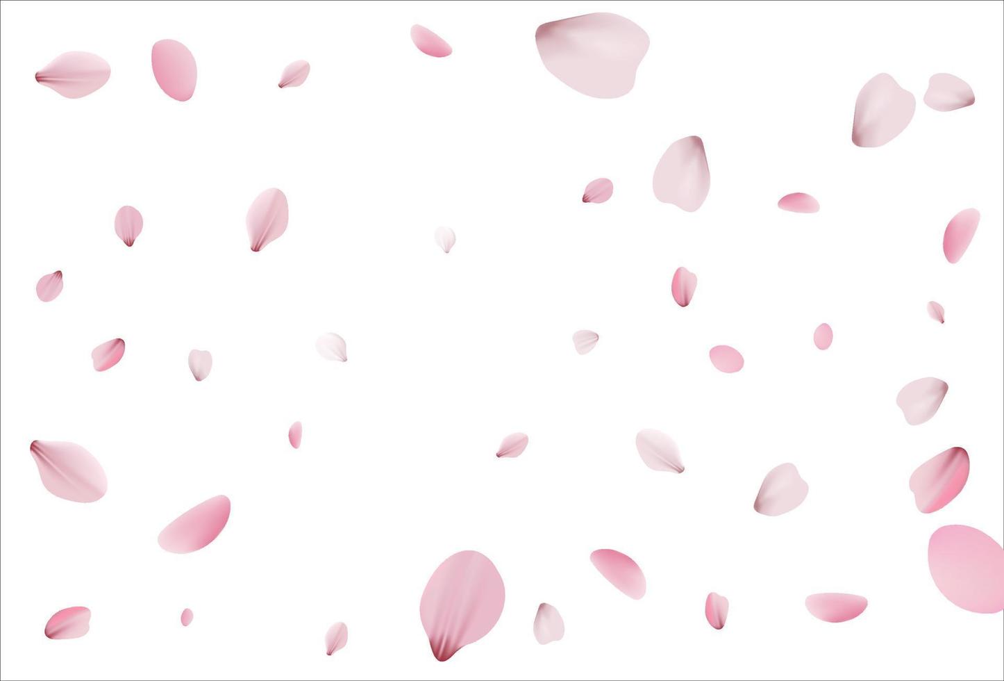 kersen achtergrond, sakura vector achtergrond