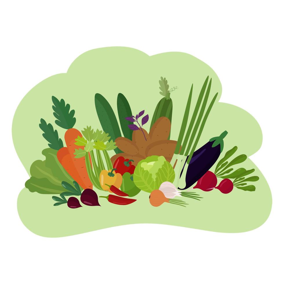 biologische groenten, gezonde voeding. affiche, spandoek, achtergrond. komkommers, aardappelen, chili, wortelen, kool, paprika's, aubergines, tomaten, uien. vector illustratie