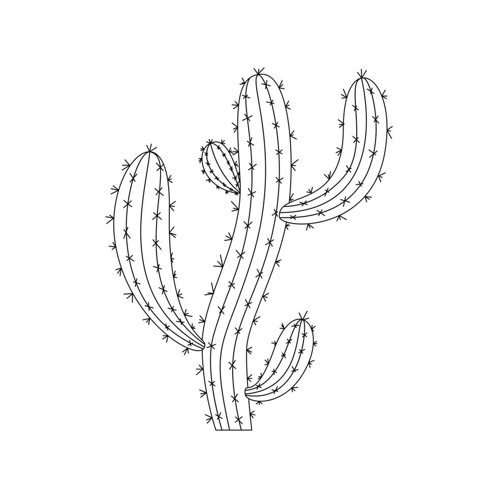 cactuskrabbelvector. cactus kamerplanten in een cartoon-stijl. lijntekeningen zonder vulling. geïsoleerd op een witte achtergrond. vector