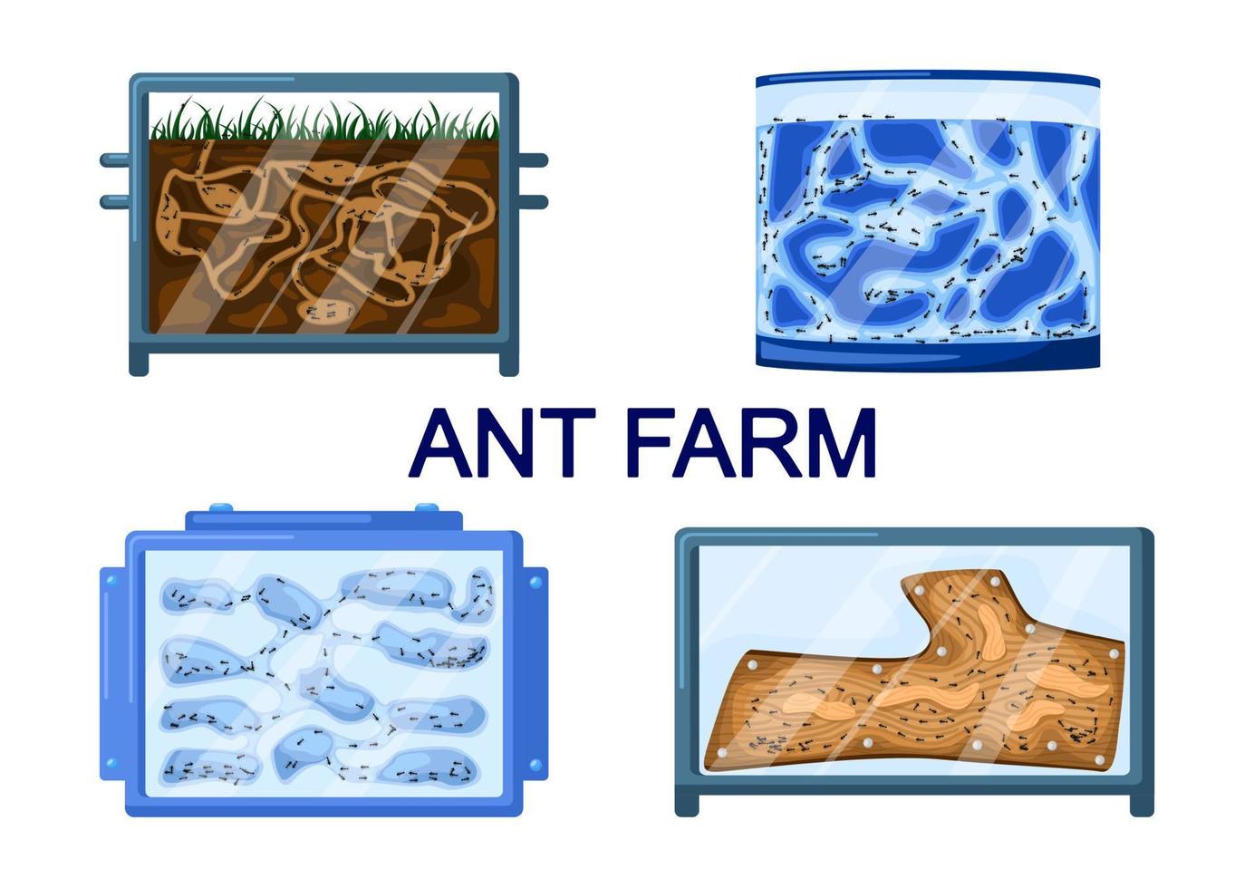 set mierenboerderijen geïsoleerd op een witte achtergrond. verschillende soorten formicaria van gips, aarde, hout, gel. vector