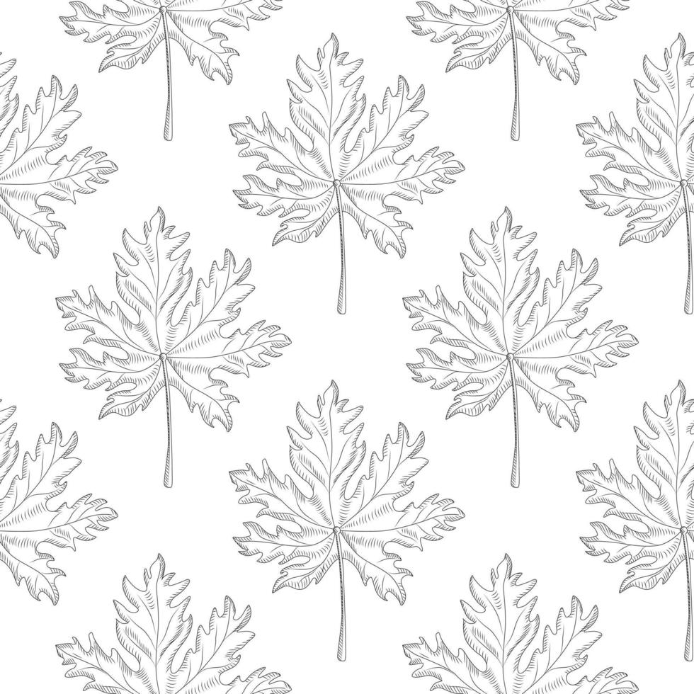 geometrische esdoornblad naadloze patroon op witte achtergrond. zwart-wit bladeren vintage behang. gegraveerde stijl. vector