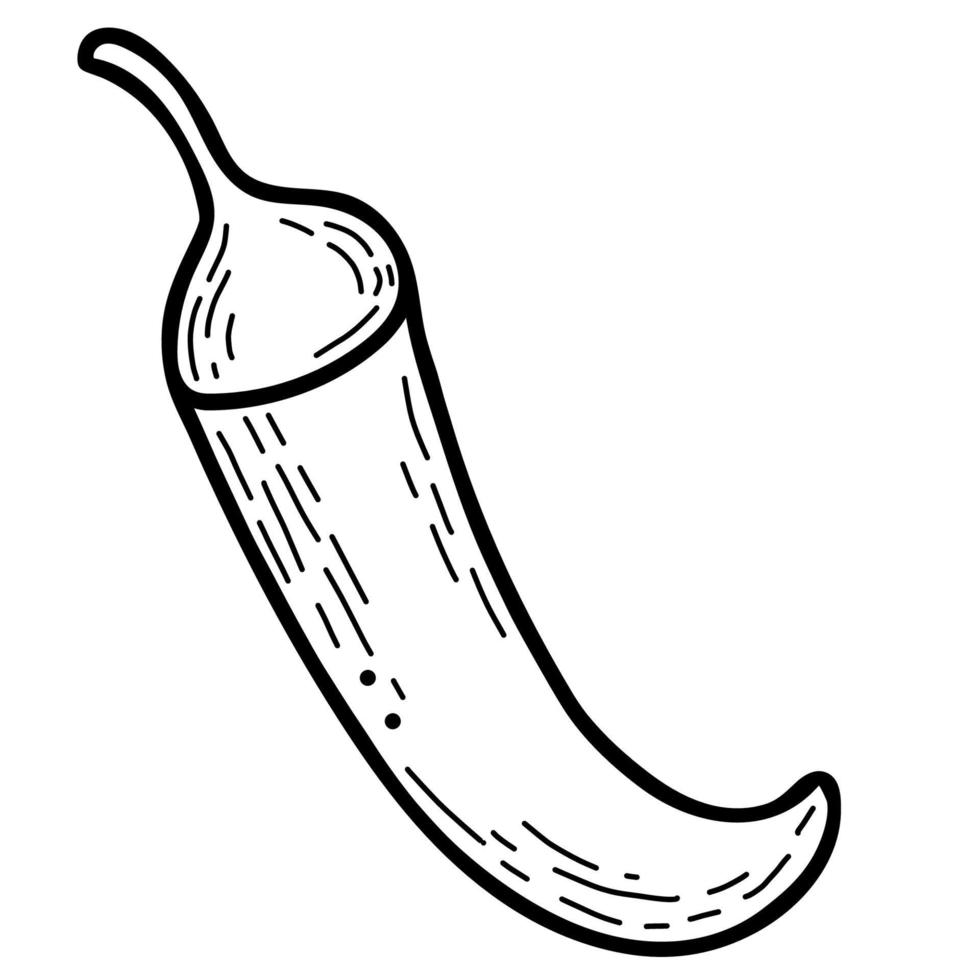 hete peper. groente. vectorillustratie. lineaire handtekening vector