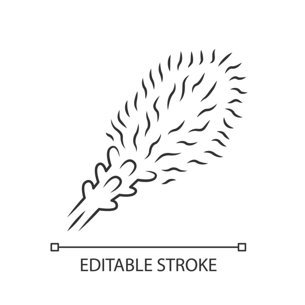 liatris lineaire pictogram. brandende ster bloeiende bloem. dwerg gayfeather tuinplant. spicata kobold. wilde bloemen. dunne lijn illustratie. contour symbool. vector geïsoleerde overzichtstekening. bewerkbare streek