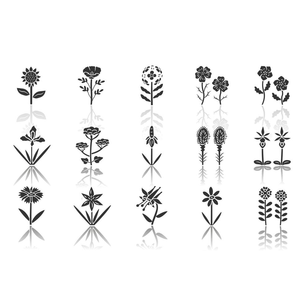 wilde bloemen slagschaduw zwarte glyph pictogrammen instellen. lente bloesem. Californië wilde bloemen, wiet met namen. tuin bloeiende planten bloeiwijzen. botanische bundel. geïsoleerde vectorillustraties vector