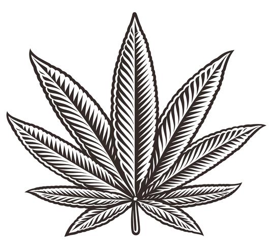 Vectorillustratie van een cannabisblad vector